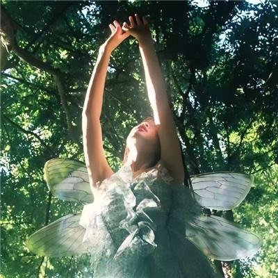 樱花革命:花开时的少女们