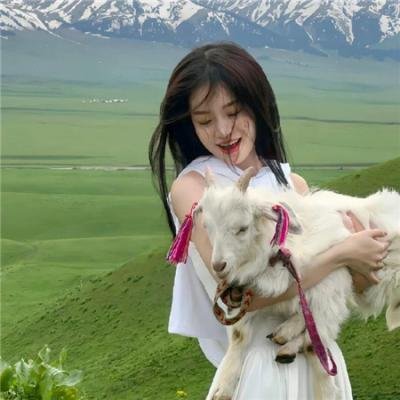 天天向上2008