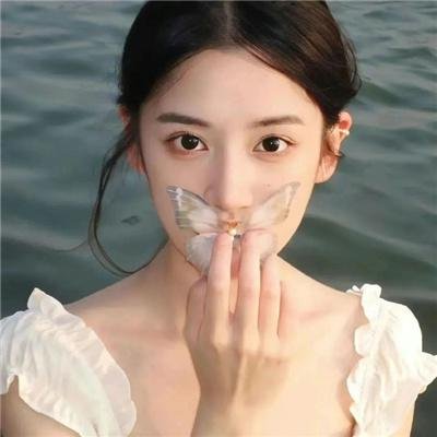 再会吧!青春小鸟
